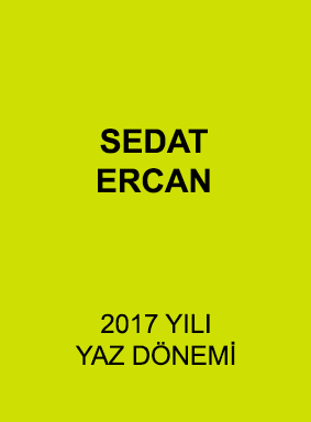 Sedat Ercan